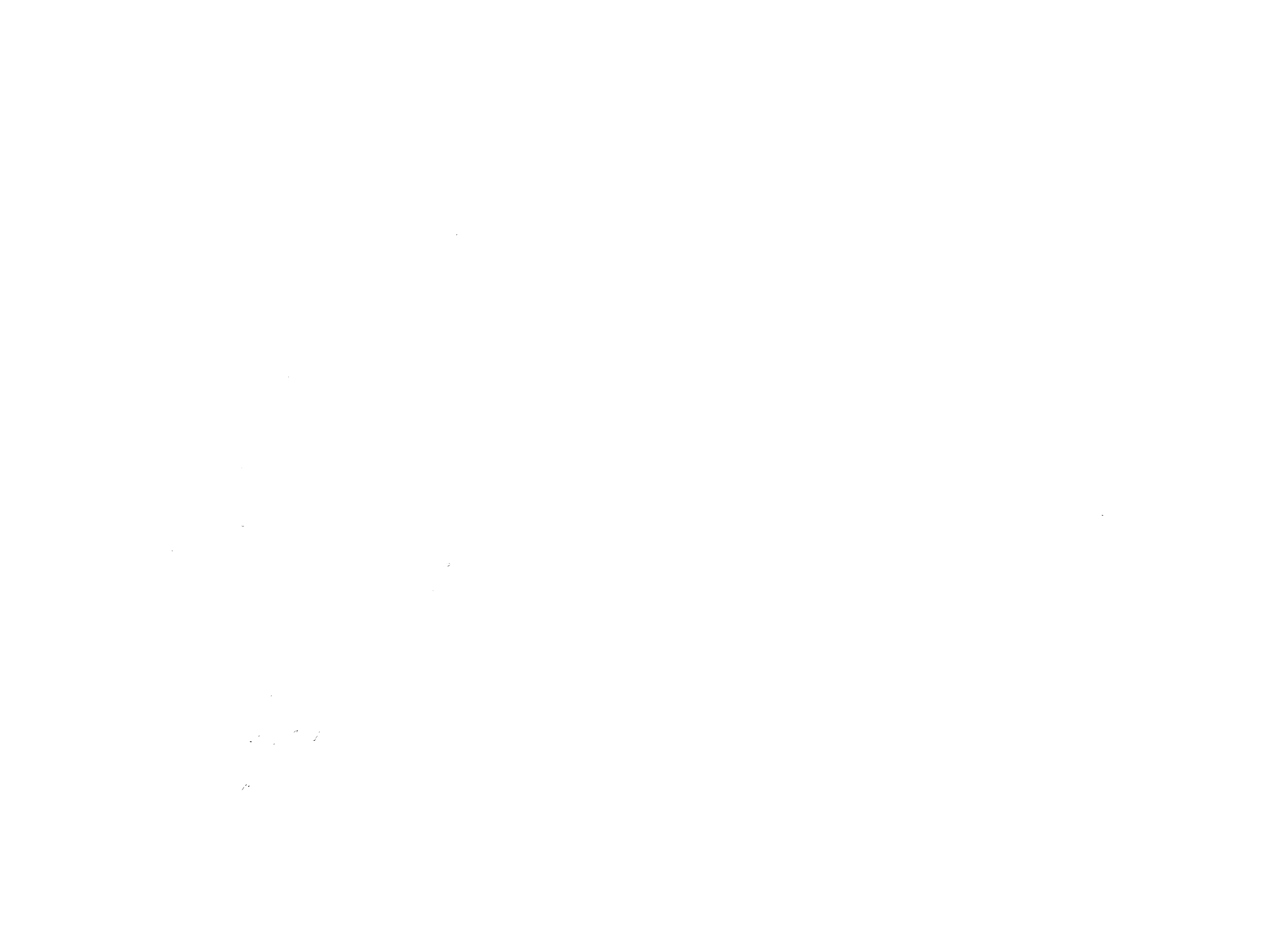 Fundación Piu Mosso
